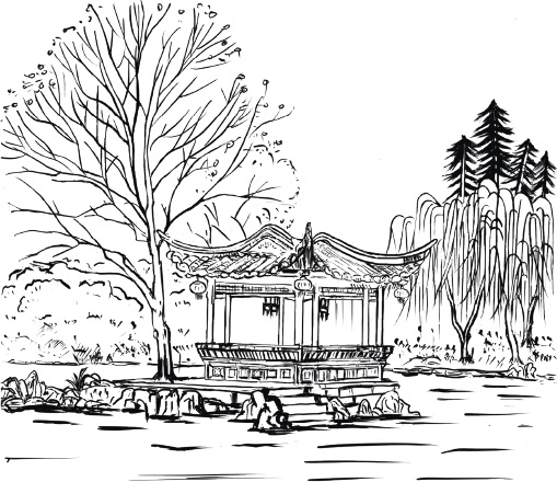 Line illustration